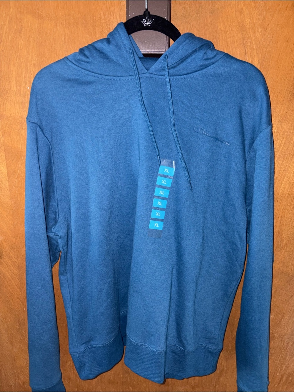 Champion Men's Teal Pullover Hoodie - Blue